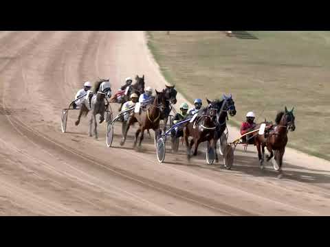 2019.03.16. 01. futam - CSAPODÁR DÍJ