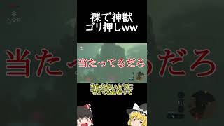 【ブレワイ】水の神獣、服いりません