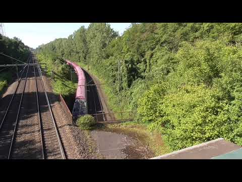 BR 193 274-8  ELL TX-Logistik