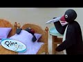 Pingu Pretends To Be Sick Pingu Official Cartoons For Kids