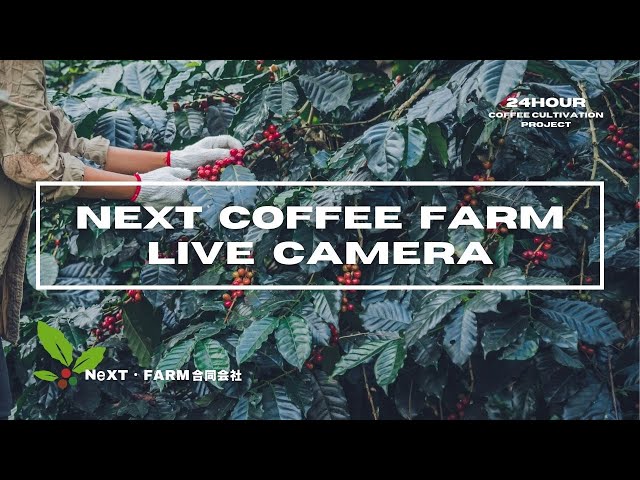 NeXT・Farm 合同会社　国内産コーヒー栽培（福島県・伊達市　Site-1）Liveチャンネル