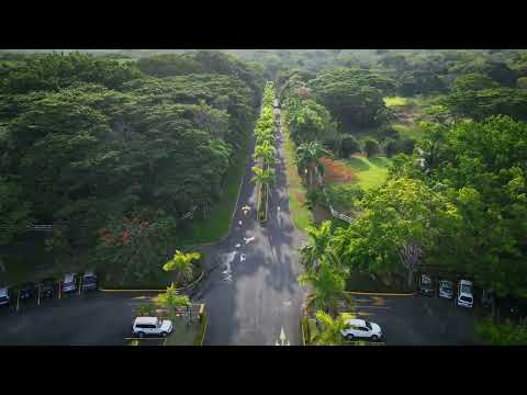 Videos del Barceló Tambor 5★ en Tambor, Costa RicaVer MásVerPrecios18CerrarConsulta por Whatsapp 🇦🇷BookingTripadvisorExpediaAgodaTravelocityOrbitzPricelineTripSkyscannerKayakHotelesDestiniaTrivagoTurismocityAlmundoLastminuteHotwireTui