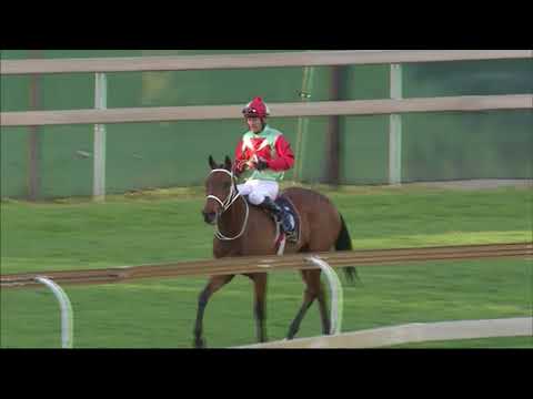 THE GRAHAM BECK STAKES 2017