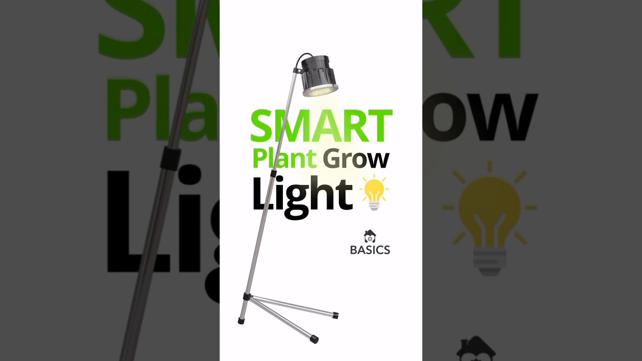 BASICS Smart Plant Light | Easily Grow Plants Indoors | Fresh Air For Your Home #indoorplants