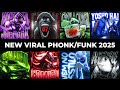 NEW VIRAL FUNK PHONK 2025 BRAZILIAN PHONK PHONK MUSIC 2025