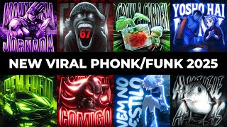 NEW VIRAL FUNK/PHONK 2025 | BRAZILIAN PHONK | PHONK MUSIC 2025 NEW VIRAL FUNK/PHONK 2025 | BRAZILIAN PHONK | PHONK MUSIC 2025