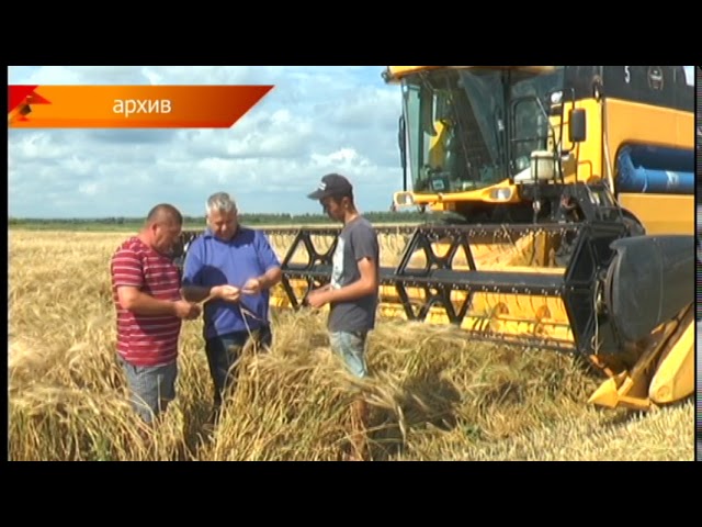 5 из двухсот - нурлатцы