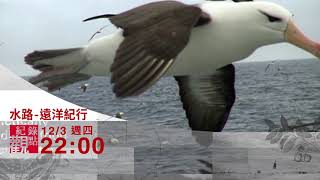 [情報] 12月3日 公視紀錄觀點《水路–遠洋紀行》