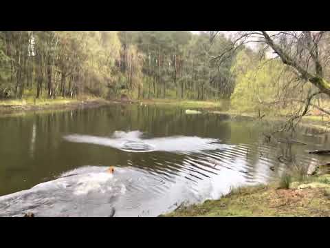 Stanley frolicking around Lanty’s tarn.
