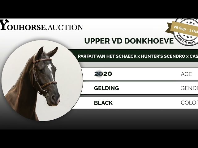 Upper vd Donkhoeve trainingsvideo