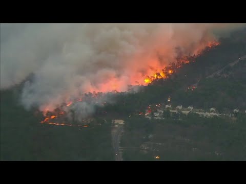 NJ Manchester Forest Wildfire & Investigation Latest