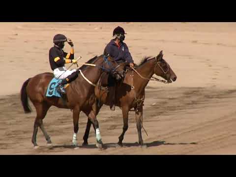 210318 c01 1° DOLOREÑA  SINT COLONIA