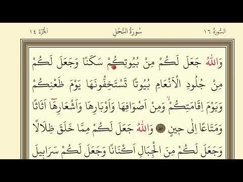 275.DERS KURAN SAYFA 275 SURAH NAHL 80-87 | KURAN DERSLERİ |QURAN LESSONS