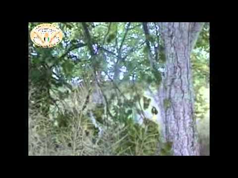 هجوم كتيبة الحسن وعدد من الكتائب الأخرى على أحد مواقع قوات النظام وميليشيا حزب الله قرب بلدة عقربا في ريف دمشق