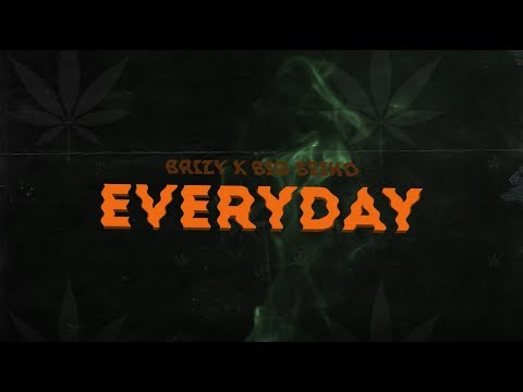 Brizy X Big Seiko - EveryDay