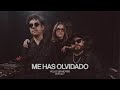 HELLO SEAHORSE! - ME HAS OLVIDADO (LIVE SESSION)