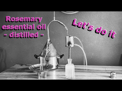 Do it yourself - Create rosemary essential oil with DIY still