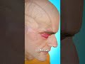 Stung In The Eye By A Bee