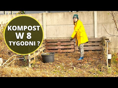 SPOSÓB NA SZYBKIE kompostowanie. Jak zrobić KOMPOST w 8 TYGODNI?