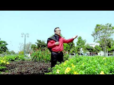 Chiều xuân quê - Thành Phố Biển