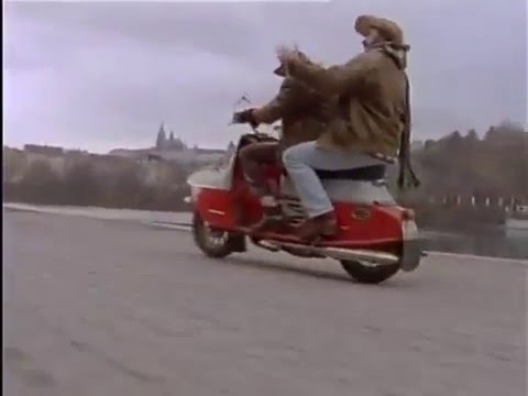 Žlutý pes   Sametová