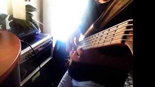 Testing Acg Bass Gk Fusion Head Schroeder Cabinet Video