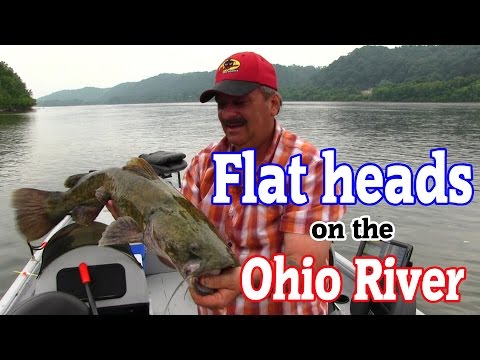 Flathead catfishing on the Ohio River