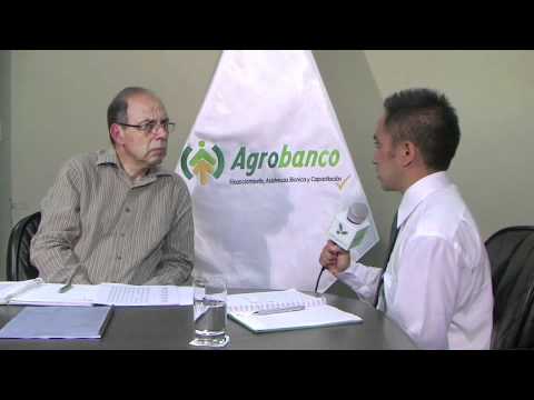 Entrevista Agrobanco - primera parte