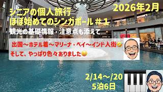 久々のシンガポール＃１　治安ヨシ・無料航空券ヨシ・金満ヨシ😝の巻　シニアの旅行けば＃55