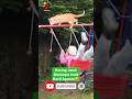 Kucing Jatuh Dari Atas Ayunan Menimpa Anak Kecil Yg Sedang Ayunan Limachanel Shorts Kucing Lucu