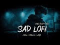 Log Kehte Hai Pagal Slowed Reverb LoFi Music Lofi Prince Rk