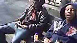 Standing Dove Sitting Next To Vulture