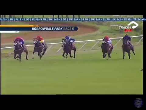 2019.02.10 Fillies Classic (ZIM) - Mia Finola