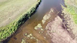Das Oderbruch | DRONE