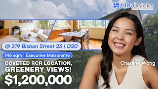 Singapore Executive Maisonette | 219 Bishan Street 23 | $1,200,000 | bleubricks by PLB | Charline
