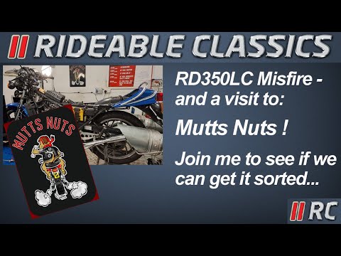 Taking the Yamaha RD350LC up to see Dave Whattam at Mutts Nuts  !!