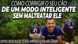 SE EU CORRIGIR MEU CÃO, ESTOU MALTRATANDO ELE ? APRENDA A FORMA INTELIGENTE DE SE CORRIGIR UM CÃO