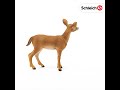 Schleich figūrėlė Baltauodegio elnio patelė