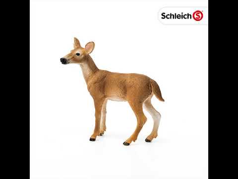 Schleich figūrėlė Baltauodegio elnio patelė video