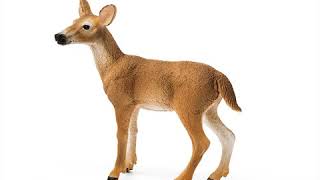 Schleich Laň jeleňa bielochvostého