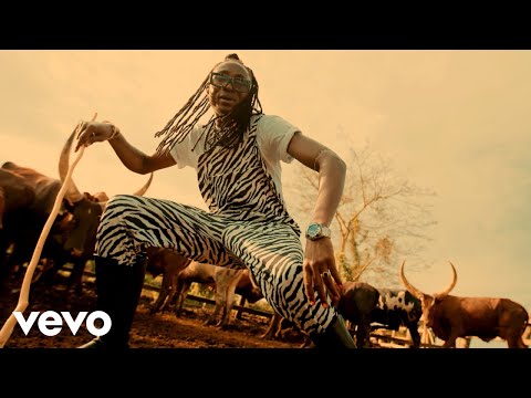 Ziza Bafana - Ensolo (Official Video)
