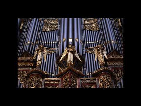 Svatojakubská schola cantorum: Žalm 22 (B. Korejs), Květná neděle 2018