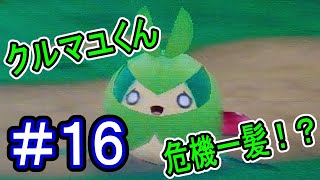 【実況】赤いお宝には罠がある！？クルマユくんがシキサイの森に行った理由とは？【ポケモン不思議のダンジョンマグナゲートと∞迷宮】 Part16