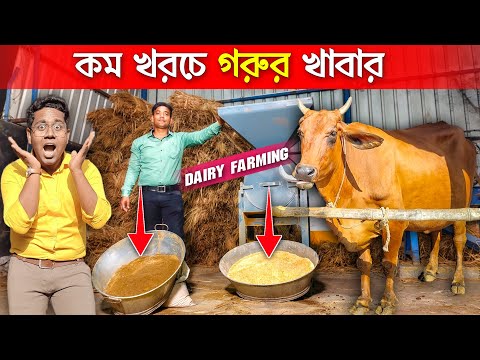 কম খরচে গরুর খাবার বানাতে শিখুন | Dairy Farm in India | Cow Farm in West Bengal |