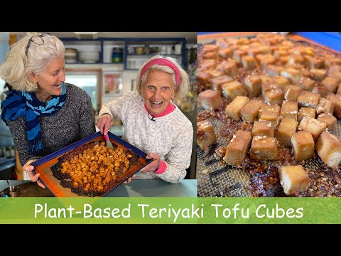 Plant-Based Teriyaki Tofu Cubes