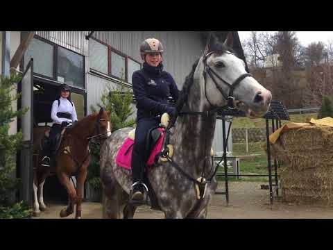Csemete Lovaspark - Tavaszi tábor 2018 (haladó) 1080HD