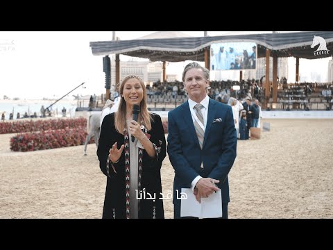 KIAHF 2023 Peninsula Show - Day 4, Championships Day