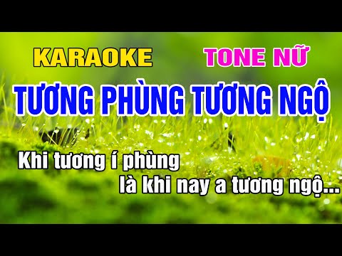 Tương Phùng Tương Ngộ Karaoke Tone Nữ Nhạc Sống gia huy karaoke