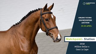 Matchpoint - under the saddle