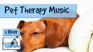 Pet Therapy - Music for Dogs, Relaxing Therapy Music to reduce anxiety , De-stress your Dog